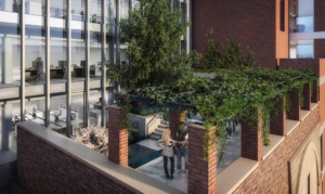 1824012_GardensLimerick_Pergola-1024x610